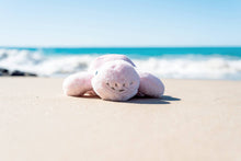 Load image into Gallery viewer, OB - Tori Turtle Pink Soft toy