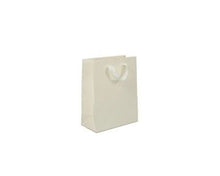 Load image into Gallery viewer, Box & Wrap - Manhattan Twill Ribbon Handle Bags: Wall Street White - Twill Ribbon Handle Gift Bag / 10 x 5 x 13" / Case/100