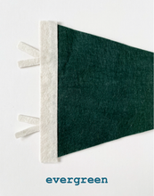 Load image into Gallery viewer, St. Pete pennant- all colors