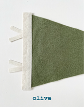 Load image into Gallery viewer, St. Pete pennant- all colors