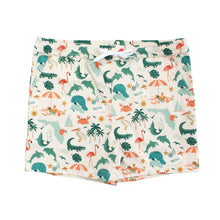 Load image into Gallery viewer, Emerson and Friends - Explore Florida Boys Swim Trunks