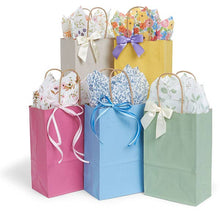 Load image into Gallery viewer, Nashville Wraps - Recycled Shadow Stripe Kraft Paper Retail Shopping Bags: Picket Fence / 25 Pack / Cub 8x4.75x10.5"