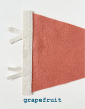 Load image into Gallery viewer, St. Pete pennant- all colors