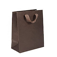 Load image into Gallery viewer, Box & Wrap - Manhattan Twill Ribbon Handle Bags: Wall Street White - Twill Ribbon Handle Gift Bag / 10 x 5 x 13" / Case/100