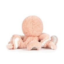 Load image into Gallery viewer, OB- Little cove octopus