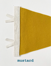 Load image into Gallery viewer, St. Pete pennant- all colors