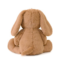Load image into Gallery viewer, OB - Duke Dog Soft Toy