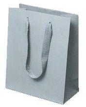 Load image into Gallery viewer, Box & Wrap - Manhattan Twill Ribbon Handle Bags: Wall Street White - Twill Ribbon Handle Gift Bag / 10 x 5 x 13" / Case/100