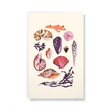 Load image into Gallery viewer, Denik - Seashells Classic Layflat Notebook