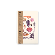 Load image into Gallery viewer, Denik - Seashells Classic Layflat Notebook