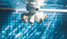 Load image into Gallery viewer, Oli & Carol - Orlando the Octopus