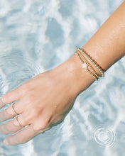 Load image into Gallery viewer, Coast and Cove - Star Goldie
