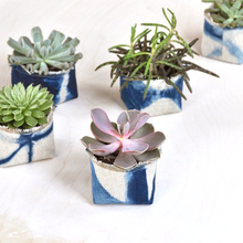 Load image into Gallery viewer, Gray Green Goods - 2.5&quot; Indigo Canvas Planter - More blue

