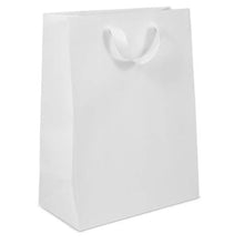 Load image into Gallery viewer, Box &amp; Wrap - Manhattan Twill Ribbon Handle Bags: Wall Street White - Twill Ribbon Handle Gift Bag / 10 x 5 x 13" / Case/100
