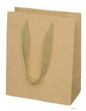 Load image into Gallery viewer, Box &amp; Wrap - Manhattan Twill Ribbon Handle Bags: Wall Street White - Twill Ribbon Handle Gift Bag / 10 x 5 x 13" / Case/100

