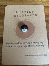 Load image into Gallery viewer, Pals in your Pocket - Hedgehog Hug
