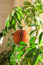 Load image into Gallery viewer, East End Press - ORANGE HONEYCOMB ORNAMENT
