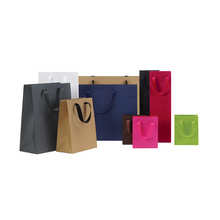 Load image into Gallery viewer, Box &amp; Wrap - Manhattan Twill Ribbon Handle Bags: Wall Street White - Twill Ribbon Handle Gift Bag / 10 x 5 x 13" / Case/100
