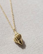 Load image into Gallery viewer, Coast and Cove - Gold Conch Shell Necklace
