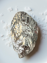 Load image into Gallery viewer, Flamingo Oyster Ornament
