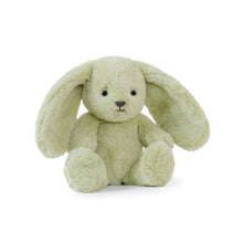 Load image into Gallery viewer, OB - Little Clover Cottontail Bunny
