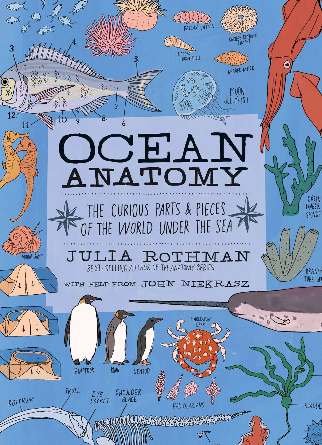 Hachette Book Group - Ocean Anatomy