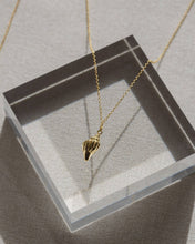 Load image into Gallery viewer, Coast and Cove - Gold Conch Shell Necklace
