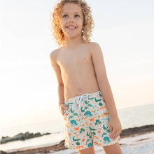 Load image into Gallery viewer, Emerson and Friends - Explore Florida Boys Swim Trunks

