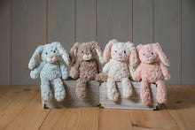 Load image into Gallery viewer, Mary Meyer - Blush Putty bunny
