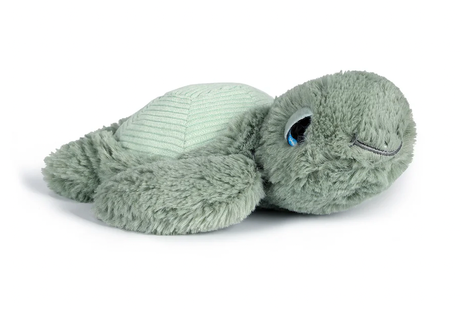 OB - Turtle little