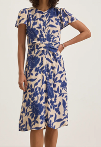 Velvet Nevine Dress