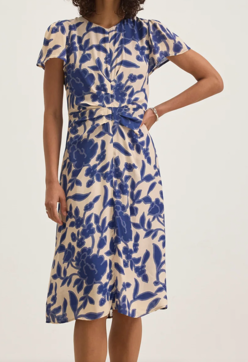 Velvet Nevine Dress
