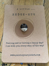 Load image into Gallery viewer, Pals in your Pocket - Hedgehog Hug
