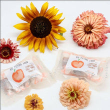 Load image into Gallery viewer, Big Picture Farm - Caramel Pocket Pack: Sea Salt Vanilla
