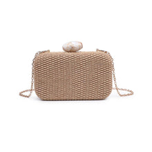 Load image into Gallery viewer, Urban Expressions - Ezra Clutch Evening Bag - Natural
