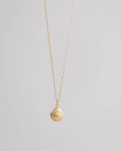 Load image into Gallery viewer, Coast and Cove - Gold Scallop Necklace

