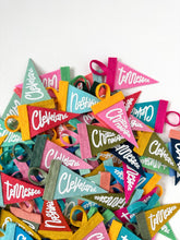 Load image into Gallery viewer, St. Pete mini pennant- all colors
