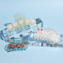 Load image into Gallery viewer, WINONA IRENE - Goldfish Claw
