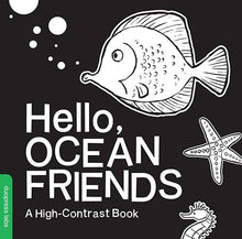Load image into Gallery viewer, Sourcebooks - Hello, Ocean Friends
