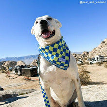 Load image into Gallery viewer, Lucy &amp; Co. - The Have a Nice Day Bandana: Large
