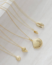 Load image into Gallery viewer, Coast and Cove - Gold Conch Shell Necklace
