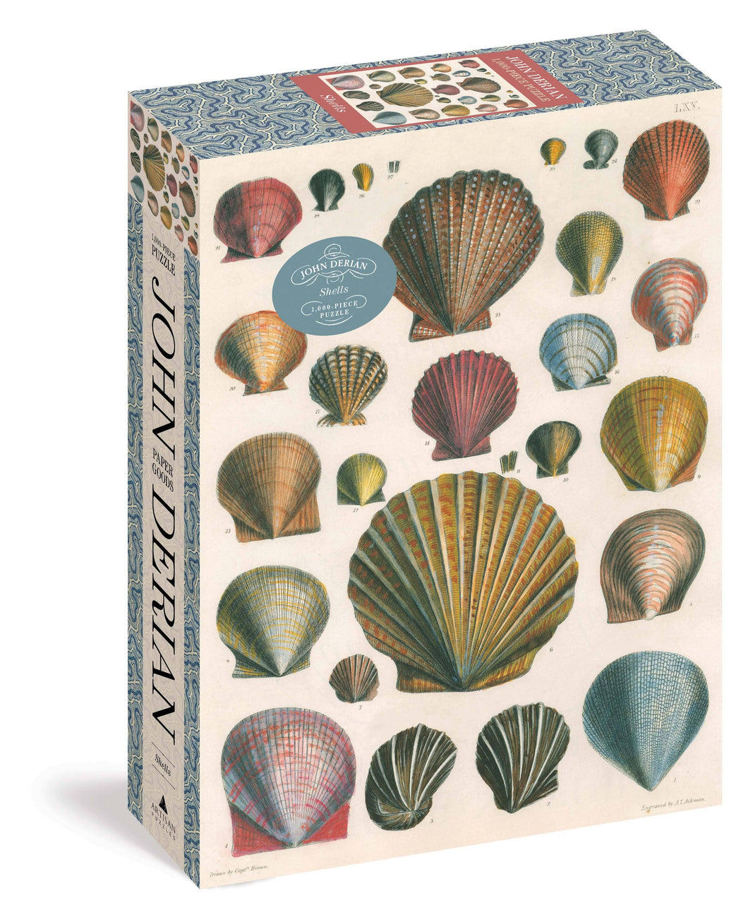 Hachette Book Group - John Derian Paper Goods: Shells 1,000-Piece Puzzle