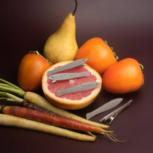 Load image into Gallery viewer, WINONA IRENE - Sardine Clip Set
