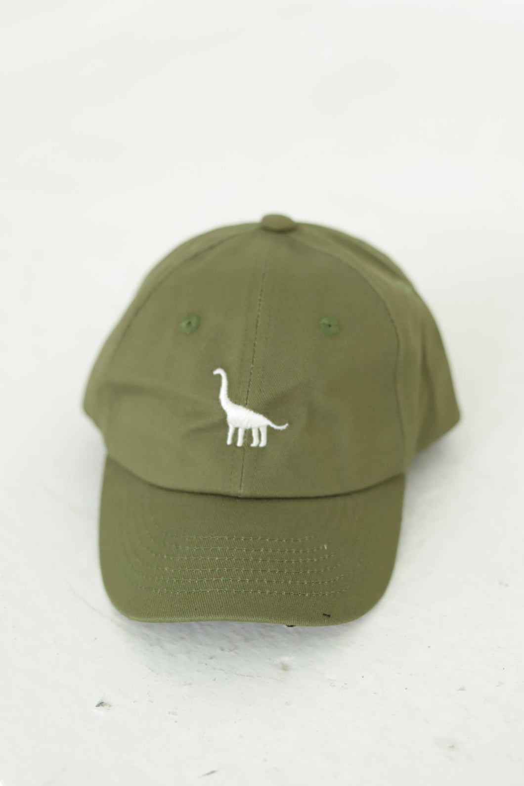 Polished Prints - dinosaur ball cap
