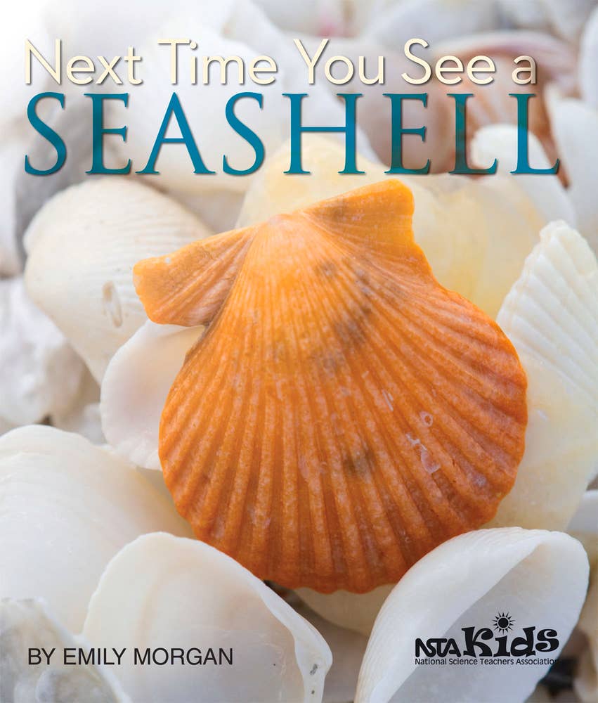 Independent Publishers Group - Next Time You See a Seashell